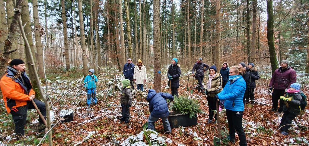 Deutschland geht Waldbaden Baumpflanzung Bayern