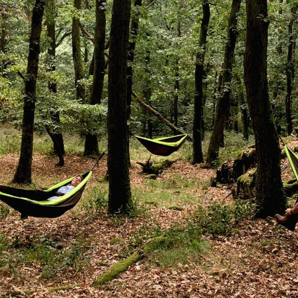 Deutschland geht Waldbaden abhängen im Wald
